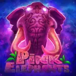 icon-今年会体育体育